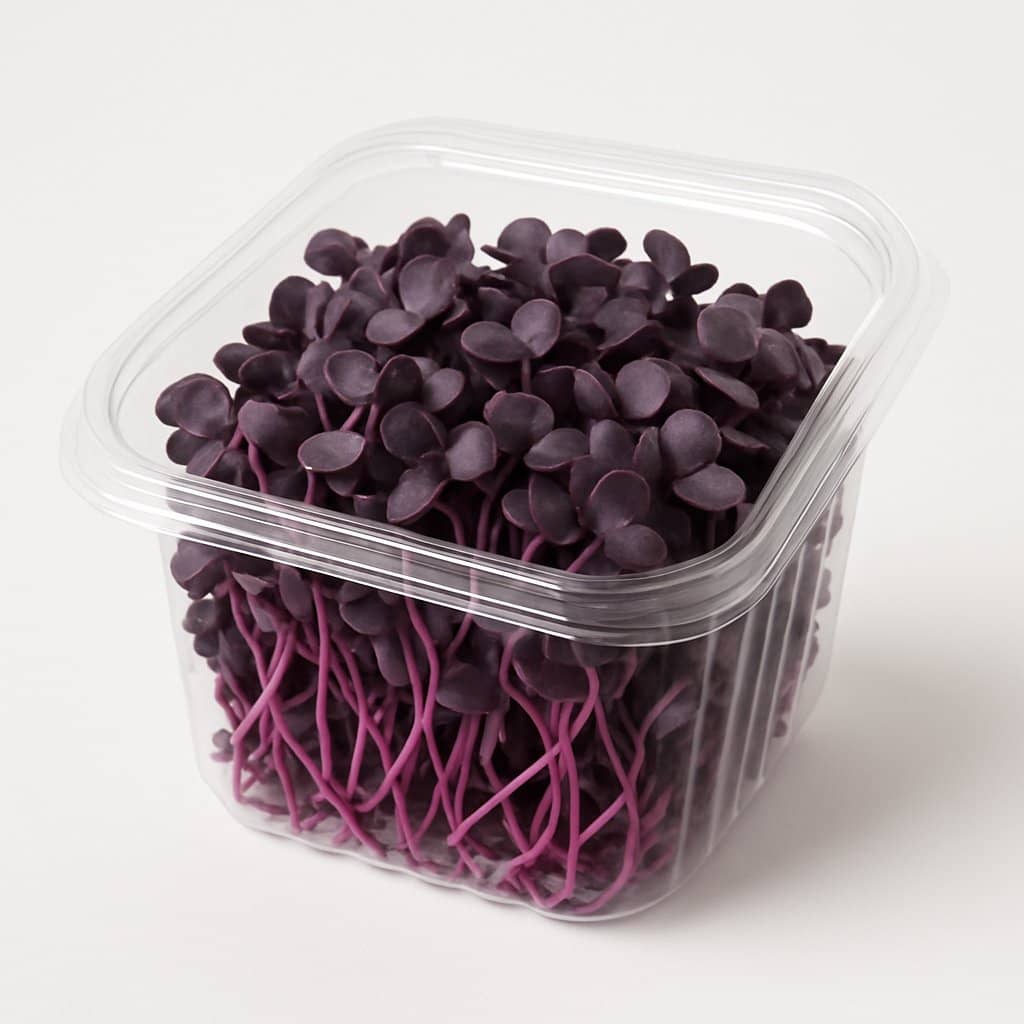 Purple Radish Microgreens (1 oz)